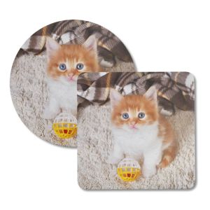 My Pet Coasters - Image 3