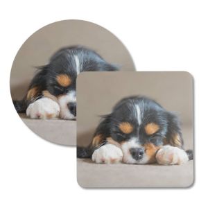 My Pet Coasters - Image 2