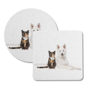 My Pet Coasters - Image 4