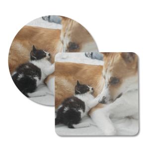 My Pet Coasters - Image 6