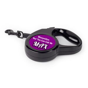 Retractable Pet Leash - Image 5