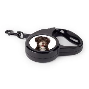 Retractable Pet Leash - Image 4