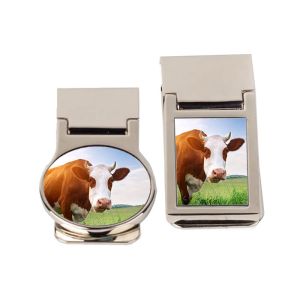 My Pet Money Clip - Image 5