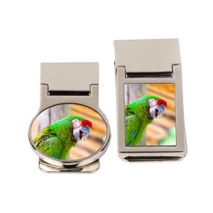 My Pet Money Clip - Image 6