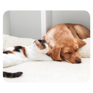 Custom Pet Mousepads - Image 5