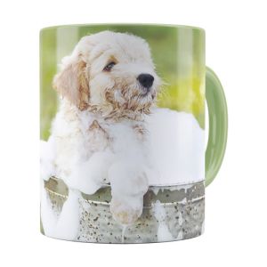 Pet Lovers Color Accent Coffee Mugs - Image 3