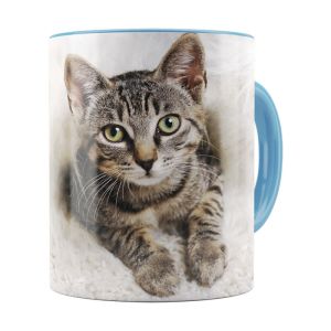 Pet Lovers Color Accent Coffee Mugs - Image 4