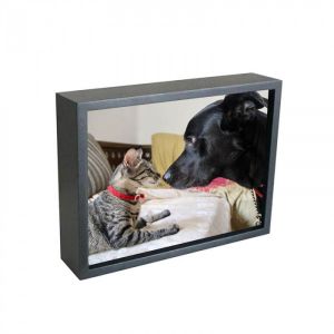 My Pet Photo Frame - Image 2