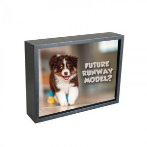 My Pet Photo Frame - Image 5