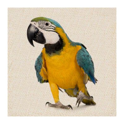Everyday Linen Coasters (4 Pack) - Image 4