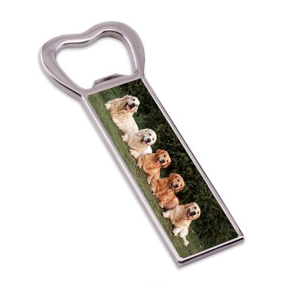 Everyday Bottle Opener with Magnet - Image 4