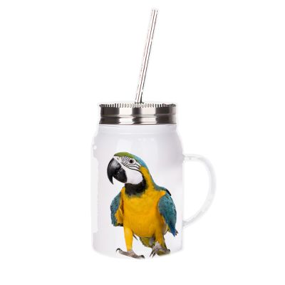 17oz Personal Stainless Steel Jar With Handle, Lid, and Straw - Image 4