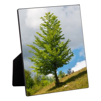 10"x10" Table Top Photo - Image 3