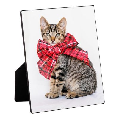10"x10" Table Top Photo - Image 4