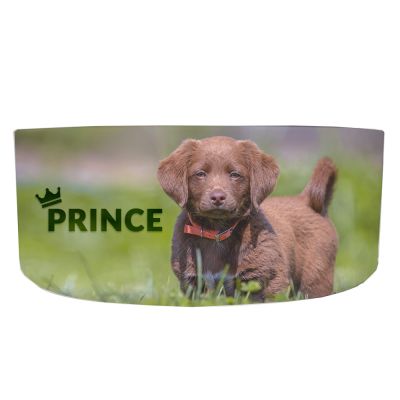 Ceramic Dog Bowl - Image 2