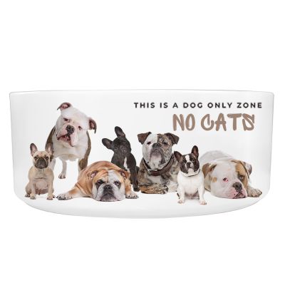 Ceramic Dog Bowl - Image 3