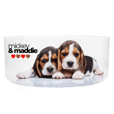 Ceramic Dog Bowl - Image 4
