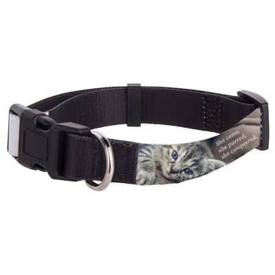 Small Cat Collar - Image 2