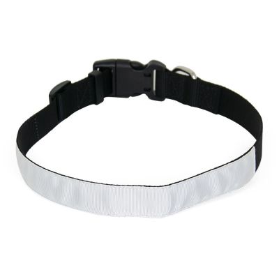 Large Dog Collar
