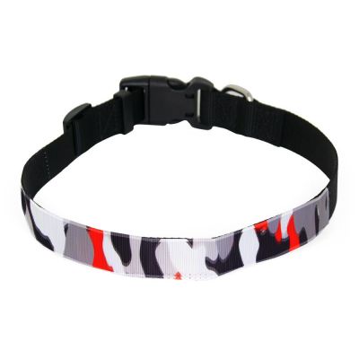 Large Dog Collar - Image 4