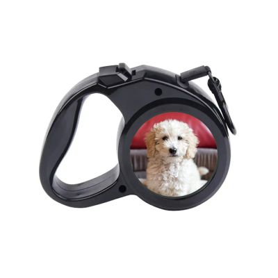 The Retractable Leash - Image 2