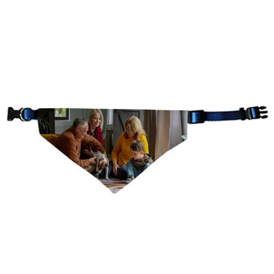 Scarf & Collar - Image 3