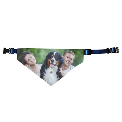 Scarf & Collar - Image 4