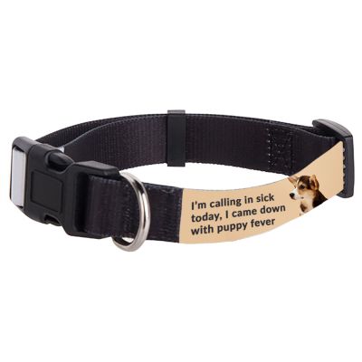 Small Dog Collar - Image 2