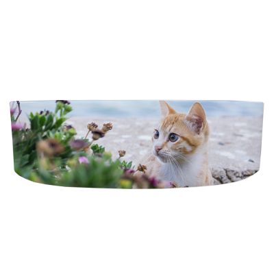 Small Cat Bowl - Image 3